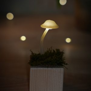 Nőnapi Gombalámpás