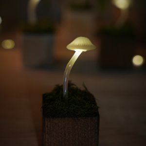 Nőnapi Gombalámpás - barna